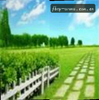 陈浩
