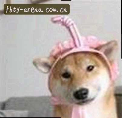 张涛